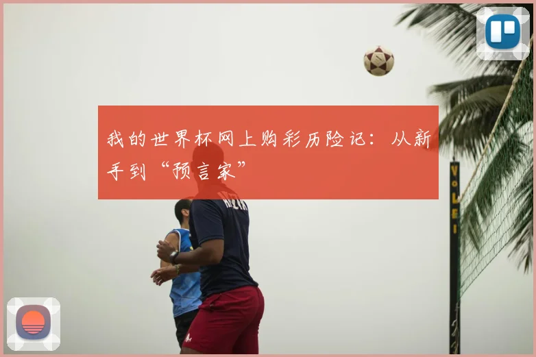 我的世界杯网上购彩历险记:从新手到“预言家”