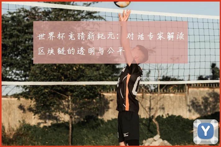 世界杯竞猜新纪元:对话专家解读区块链的透明与公平