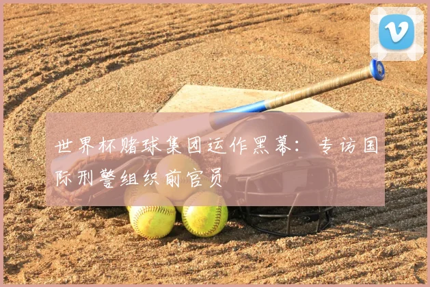 世界杯赌球集团运作黑幕:专访国际刑警组织前官员