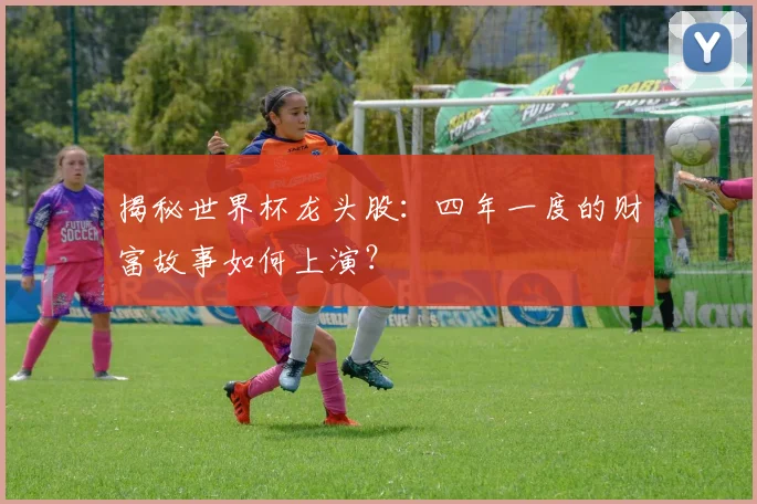 揭秘世界杯龙头股：四年一度的财富故事如何上演？