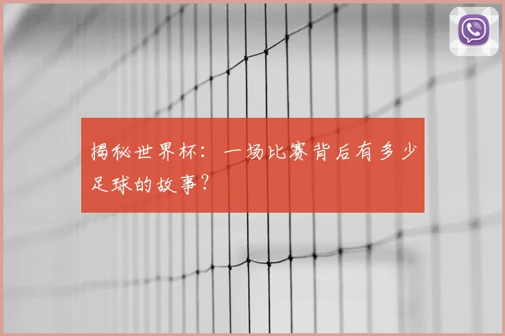 揭秘世界杯：一场比赛背后有多少足球的故事？