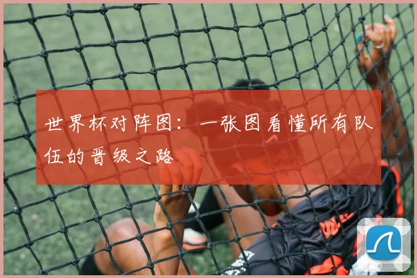 世界杯对阵图：一张图看懂所有队伍的晋级之路