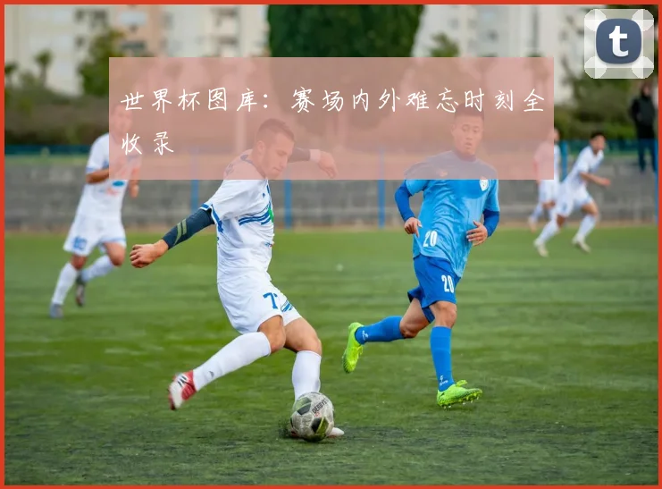 世界杯图库：赛场内外难忘时刻全收录